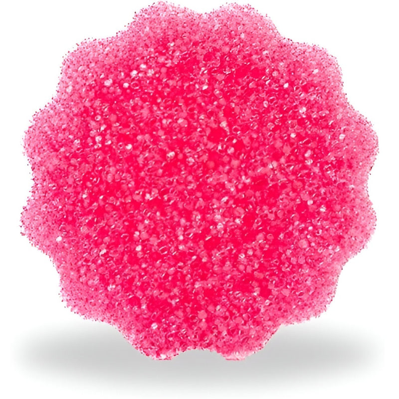 ESPONJA LIMPIADORA MULTIUSO THE PINK STUFF