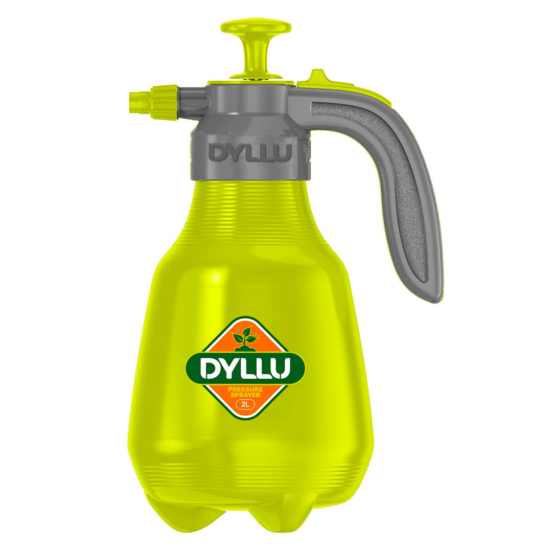 Cochez N081-000082