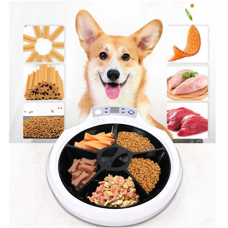 DISPENSADOR DE ALIMENTOS INTELIGENTE PARA MASCOTAS DE 5 COMPARTIMENTOS 270ML C/U.
