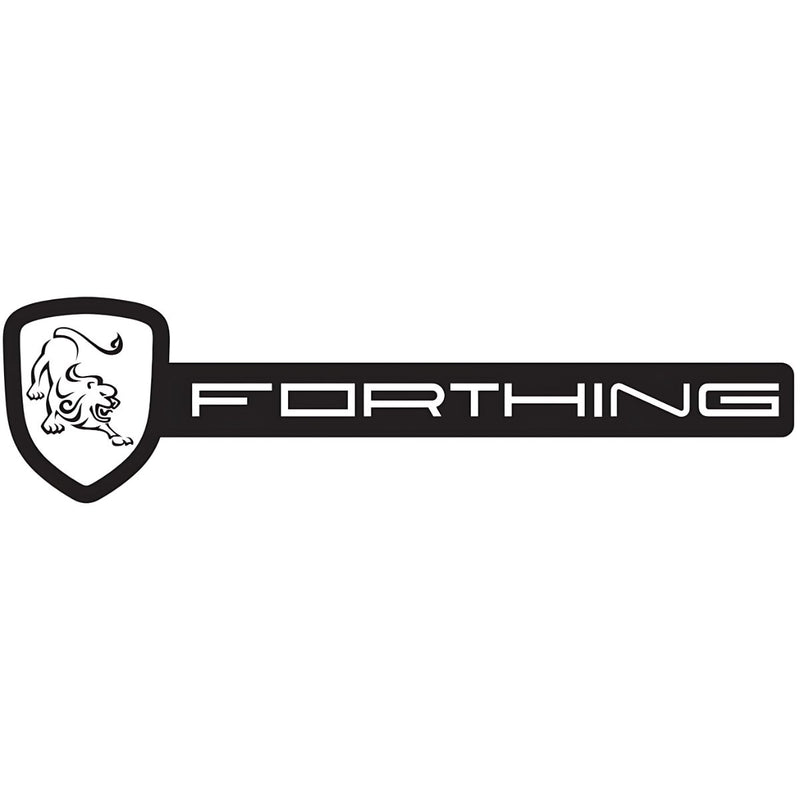 PIN MAGNETICO FORTHING
