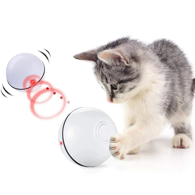 [SKUIMG]MAS05|MAS05-FRONTEND-Q3mnGQTLLjVbcWPX.png|PELOTA CON LUZ LASER PARA GATOS. TAMAÑO 6.4CM BATERIAS INLCUIDAS. COLORES SURTIDOS