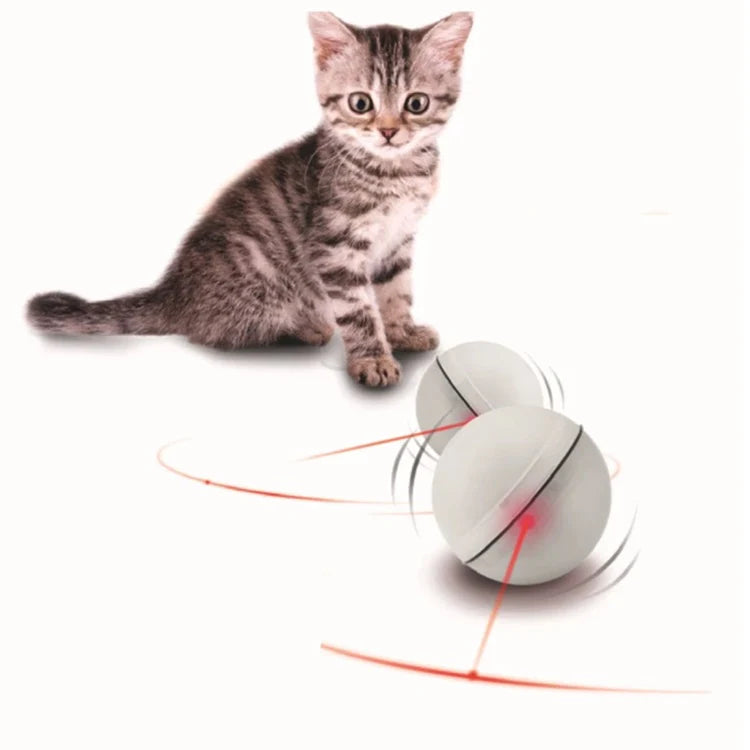 [SKUIMG]MAS05|MAS05-FRONTEND-ywHFRul4wKRiqk-Y.png|PELOTA CON LUZ LASER PARA GATOS. TAMAÑO 6.4CM BATERIAS INLCUIDAS. COLORES SURTIDOS
