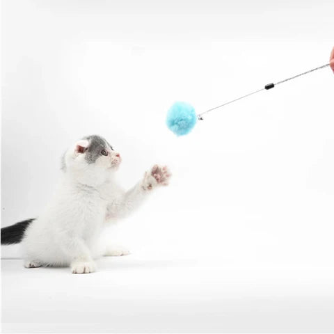 [SKUIMG]MAS09|MAS09-FRONTEND-j5ilk7qirSLBKNrO.png|JUGUETE PARA GATO VARITA DE PELOTA DE ALGODÓN. COLOR LIGHT BLUE