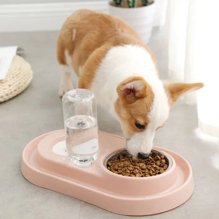 [SKUIMG]MAS58|MAS58-FRONTEND-n8uT45orsf1WUf0u.png|TAZON DOBLE DE AGUA Y ALIMENTO PARA MASCOTAS CON BASE Y SOPORTE DE PLASTICO. COLOR ROSADO