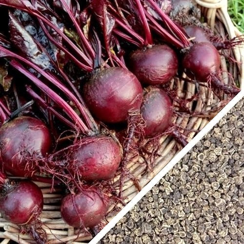 [SKUIMG]SDN02|SDN02.jpg|SEMILLAS DE REMOLACHA (100% HEIRLOOM / NO HÍBRIDO / NO GMO). 20 SEMILLAS APROXIMADAMENTE.