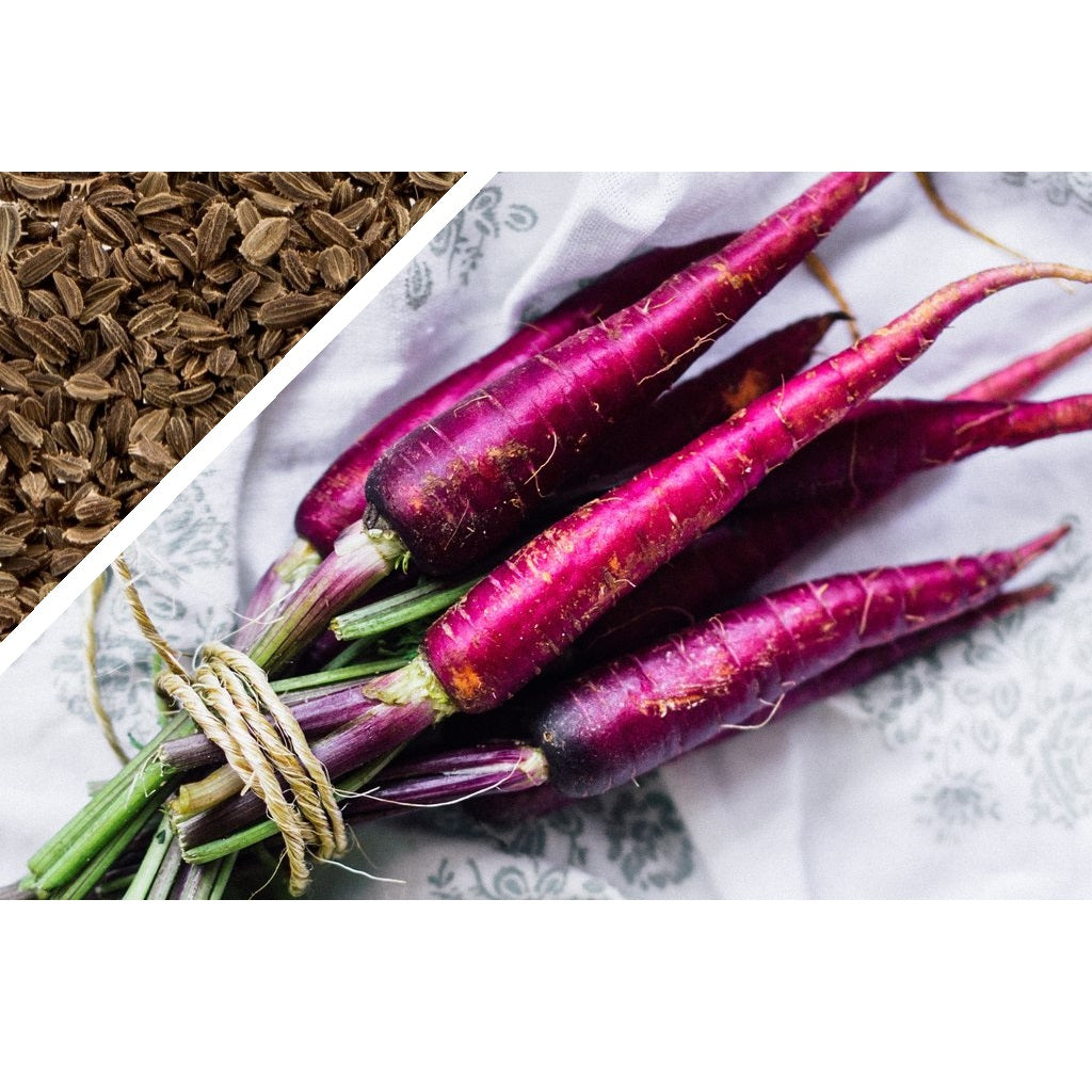 [SKUIMG]SDN03|SDN03.jpg|SEMILLAS DE ZANAHORIA MORADA. 100 SEMILLAS