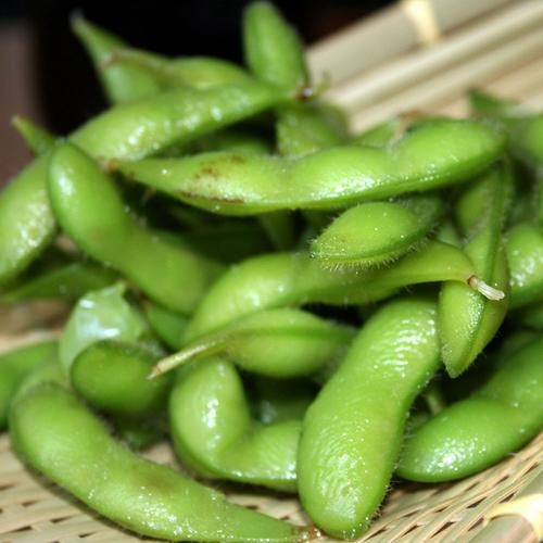 [SKUIMG]SDN118|SDN118.jpg|SEMILLAS DE FRIJOL DE SOJA EDAMAME (100% HEIRLOOM/NO HÍBRIDO/NO GMO). 10 SEMILLAS APROXIMADAMENTE.