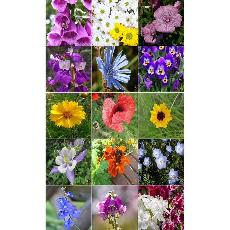 [SKUIMG]SDN144|SDN144_1773882032254_1.jpg|SEMILLAS SURTIDAS DE FLORES SILVESTRES