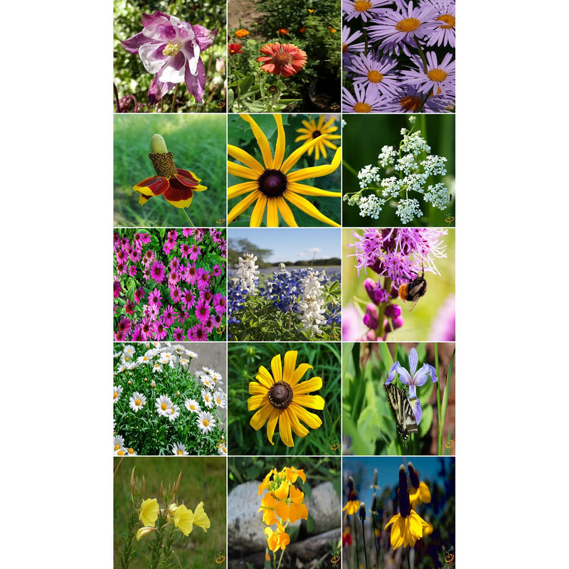[SKUIMG]SDN148|SDN148_1773881927675_1.jpg|SEMILLAS SURTIDAS DE FLORES SILVESTRES PERENNES. INCLUYE 16 VARIEDADES