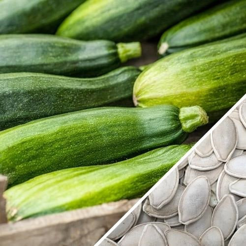 [SKUIMG]SDN154|SDN154_1773881832568_1.jpg|SEMILLAS DE ZUCCHINI