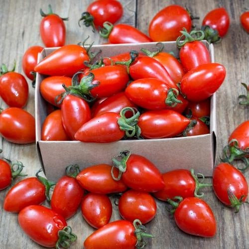 [SKUIMG]SDN22|SDN22_1773881726555_1.jpg|SEMILLAS DE TOMATE, SAN MARZANO. 15 SEMILLAS APROXIMADAMENTE.