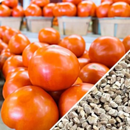 [SKUIMG]SDN27|SDN27_1773881652684_1.jpg|SEMILLAS DE TOMATE CRIOLLO (100% HEIRLOOM/NO H�BRIDO/NO GMO). 15 SEMILLAS APROXIMADAMENTE