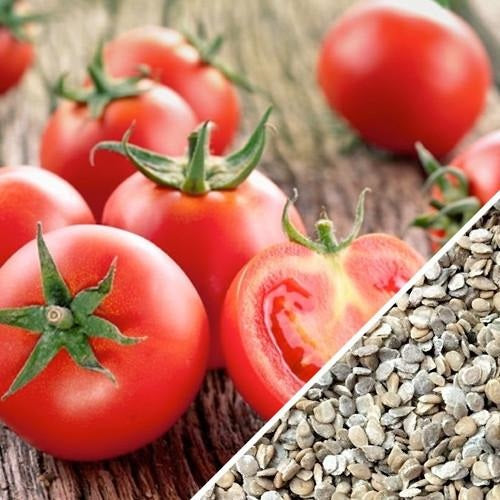 [SKUIMG]SDN34|SDN34.jpg|SEMILLAS DE TOMATE, ACE 55 (100% HEIRLOOM/NO HÍBRIDO/NO GMO). 15 SEMILLAS APROXIMADAMENTE