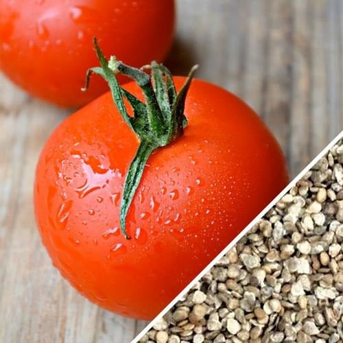 [SKUIMG]SDN35|SDN35.jpg|SEMILLAS DE TOMATE, ATKINSON (100% HEIRLOOM/NO HÍBRIDO/NO GMO). 65 SEMILLAS APROXIMADAMENTE