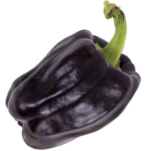 [SKUIMG]SDN54|SDN54.jpg|SEMILLAS DE PIMENTON DULCE, COLOR MARRON (100% HEIRLOOM/NO HÍBRIDO/NO GMO). 10 SEMILLAS APROX.