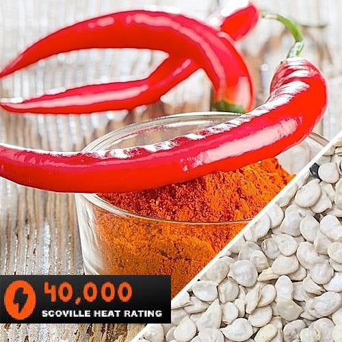 [SKUIMG]SDN55|SDN55.jpg|SEMILLAS DE AJI (HOT) CAYENNE LONG THIN (100% HEIRLOOM/NO HÍBRIDO/NO GMO). 10 SEMILLAS APROX.