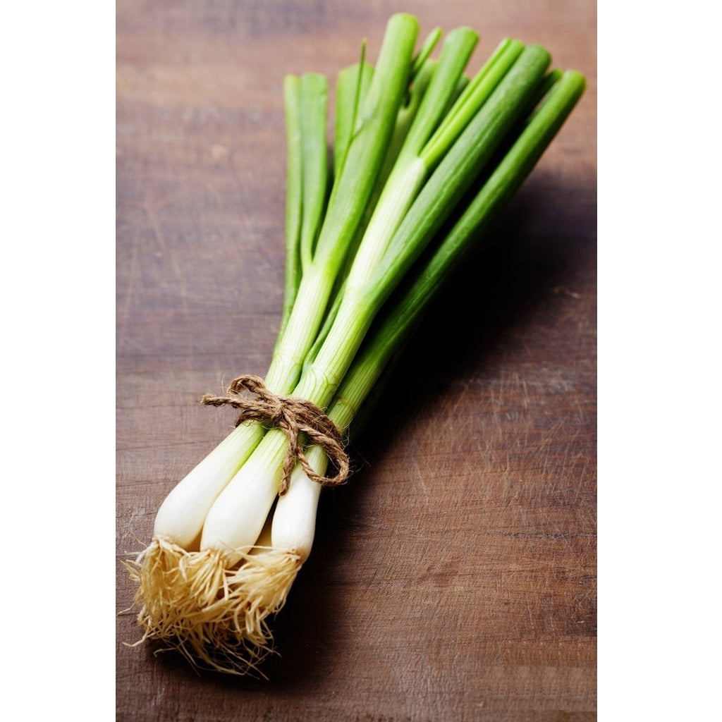 [SKUIMG]SDN61|SDN61.jpg|SEMILLAS DE CEBOLLIN, LISBON (100% HEIRLOOM/NO HÍBRIDO/NO GMO)