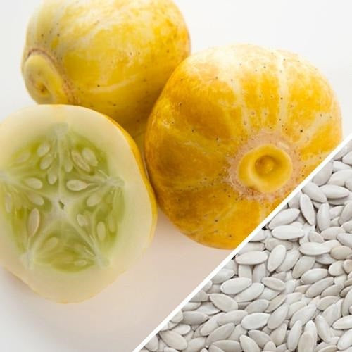 [SKUIMG]SDN95|SDN95.jpg|SEMILLAS DE PEPINO LIMÓN (100% HEIRLOOM/NO HÍBRIDO/NO GMO). 10 SEMILLAS APROXIMADAMENTE.